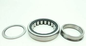 FAG NUP219-E-XL-TVP2 Bearing